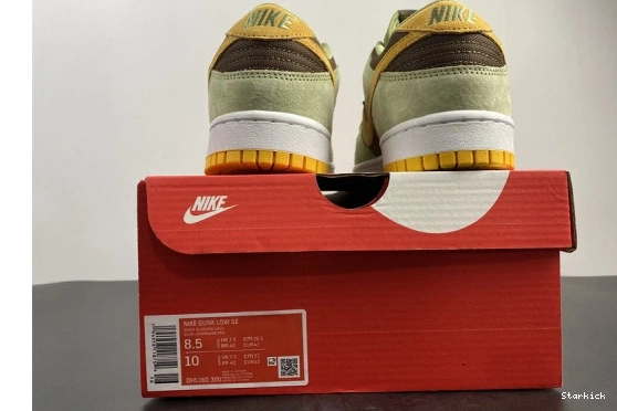 DH5360-300 Olive Nike Low Dusty Dunk 1003
